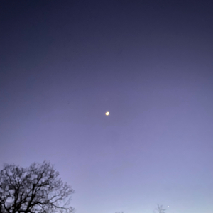 Danny Phantom (feat. Justxrolo)