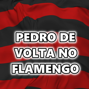 Pedro de Volta no Flamengo