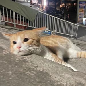 地球早就被吞没了，被剩下的就我一个[Prod by 24T]