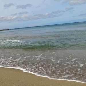浜辺の歌
