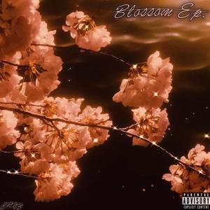 Session 33 (Interlude)