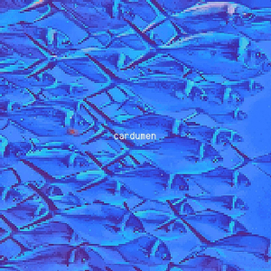 Cardumen