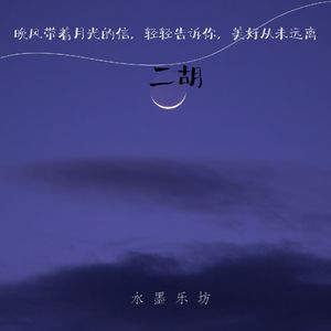 糖渍的时光-二胡