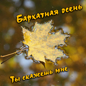 Ты скажешь мне