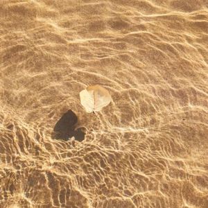 汤小漠-0912（汤小漠 remix）