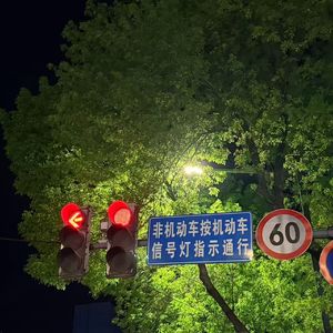 I Just Wanna Choose U