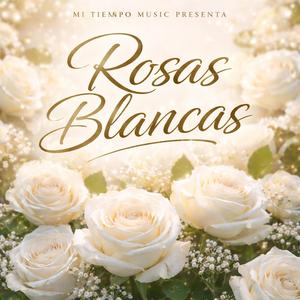 Rosas Blancas