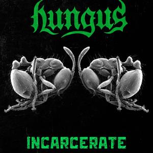 Incarcerate