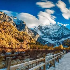 辗转反侧不愿再失去你