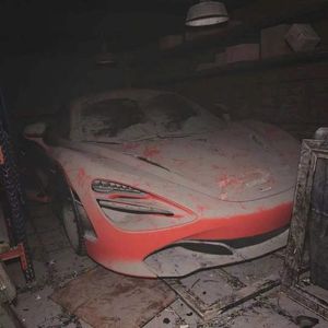 《拔萝卜》—YOUNG13DBABY