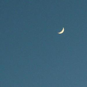 陈年旧事（翻自 高文烁）