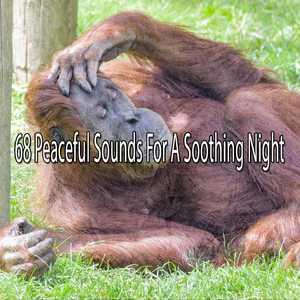 緩解您的後顧之憂