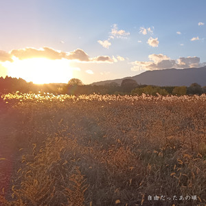 やりたい事が自由に出来る社会