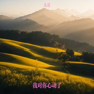 我对你心动了