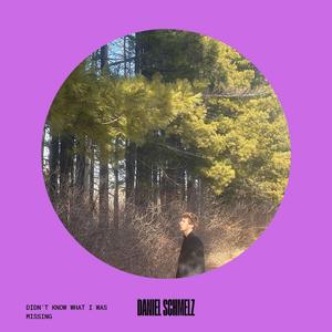 Didn't Know What I Was Missing (feat. Alex Scharfe)