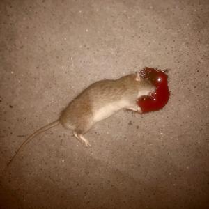 КТИ (konéchnaya tochka issledovaniya)