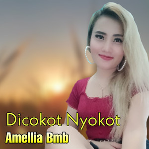 Dicokot Nyokot
