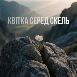 Flower Among the Rocks