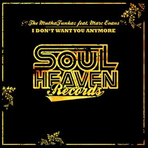 I Don't Want You Anymore (Club Mix)