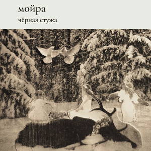 чёрная стужа