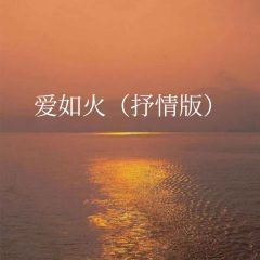 爱如火 (抒情版0.8X)