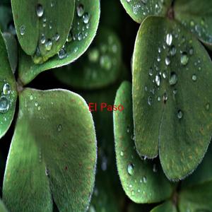 El Paso (Tribute version originally performed by Marty Robbins)