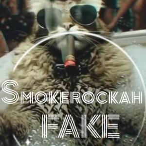 FAKE