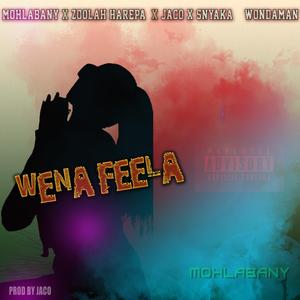 Wena_feela