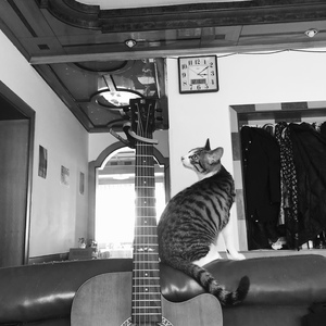 另一个你（demo）