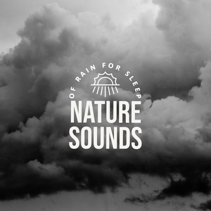 what is the best natural sleep aid