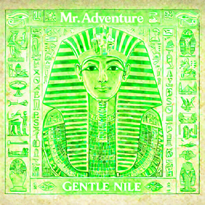 GENTLE NILE (feat. FARIS PASHA) [Afro House Mix]
