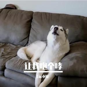 让我咆个哮 (现场)