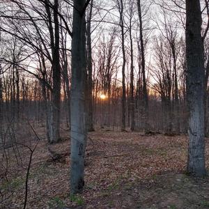 Lightning Through A Shade