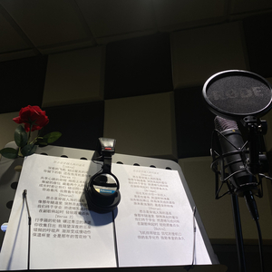 思念是穿越人海的温柔