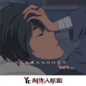 抖音最火伤感翻唱(女声版)