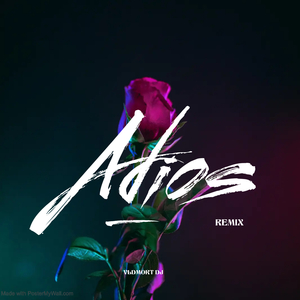 Adios (festamix) (Remix)