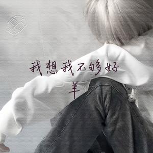 我想我不够好