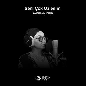 Seni Çok Özledim