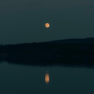 Tranquillum (Solo Piano)