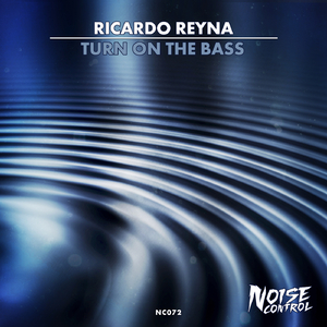 Turn On The bass (Original Mix)