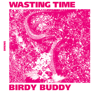 Birdy Buddy (Love Machine Cover)