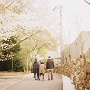 ショートケーキ