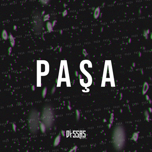Paşa (Remix)