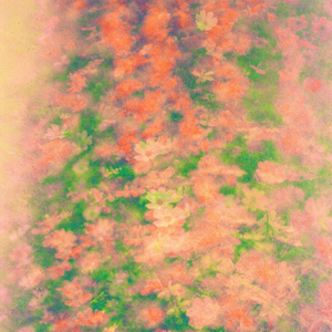 그럴 줄 알았어