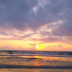 四块五的妞 (烟嗓版)