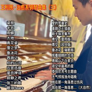 治愈钢琴版《卡农Canon》