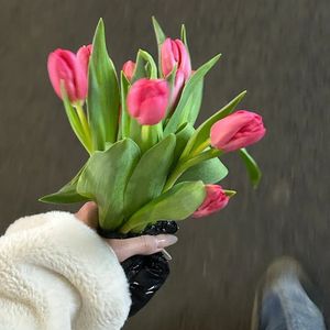 不是秘密的秘密