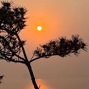 爱你不需要理由