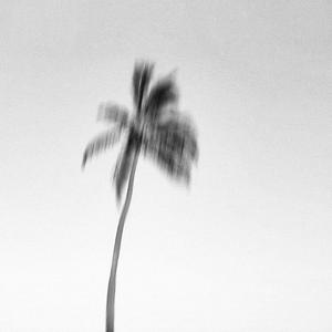 Sia-Dusk Till Dawn (Bootleg)（J.Ale / Subai / SKGYR / GARBAGE remix）