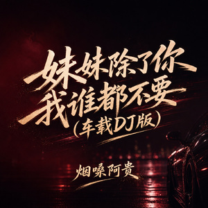 妹妹除了你我谁都不要(车载DJ版)